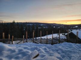 Hytte Med Utsikt Ved Skogbrynet, hotel in Svingvoll
