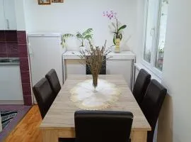 Apartman Orhideja