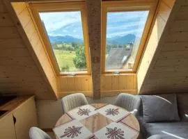 Apartament pod kopieńcem