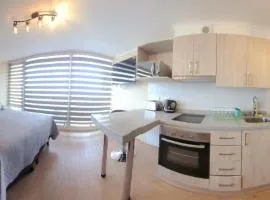 Dpto Chillán x dia 1613