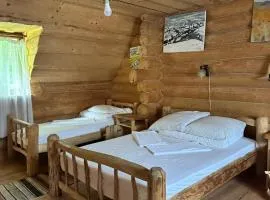 Будинок Художника Шипіт