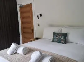Guesthouse- Deluxe Double Room