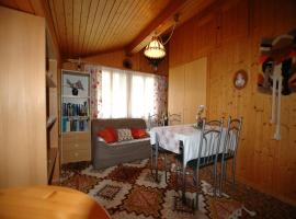 Chalet in Wilderswil with Jungfrau Views，維爾德斯維爾的Villa