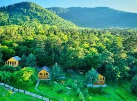 Eco Park Resort in Stepanavan Dendropark