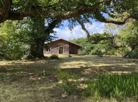 Le Tuc Lodge, hostel en Messanges