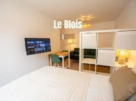 Le Blois Apartment Modern comfort near the Loire castles