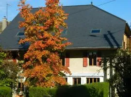 Le Cabanon Studio 35 M²