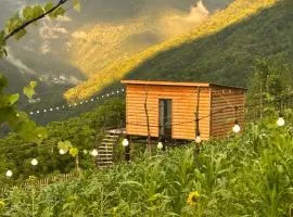 Lemanor lodge - Mountain cottages in Georgia