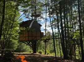 TREE HOUSE with 850 feet ZIP LINE