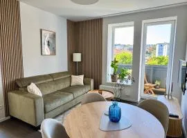 Cozy Apartment with Castle view