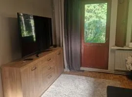 Compact beautiful apartment with sauna