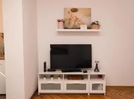 apartman Fuerte 2