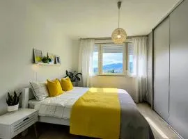 Sunflower Apartment