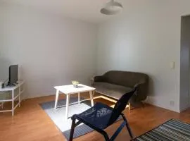 Spacious Apartment for 5