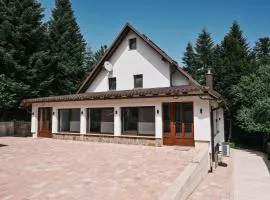 EMI Lokve