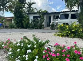 Casa Bugambilia, Miami