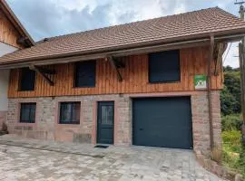 Gîte moderne et rénové avec carport et local à ski au calme près des Vosges - FR-1-589-342