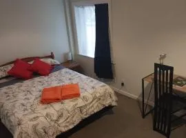 Charming Guest Room in Seatoun, Wellington
