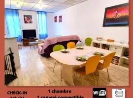 Cœur de ville, T2, rue piétonne, Digne les Bains