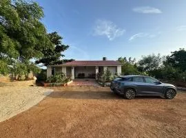 FF Family Farm