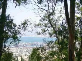 Panorama View Suite Carmel Center