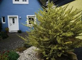 Das blaue Haus