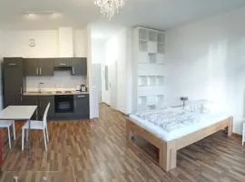 Loft with balcony Enckekaserne