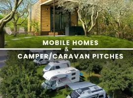 Seregnér Agricamping & Homes - Adults Only 18