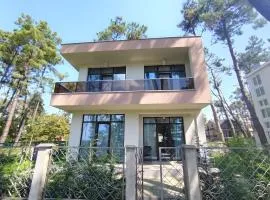 Home Shekvetili House