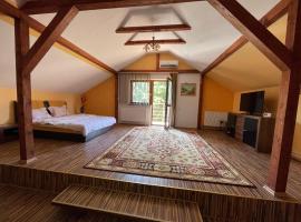 Cabană cu gradină in Iași-B&acirc;rnova, chalet de monta&ntilde;a en B&icirc;rnova