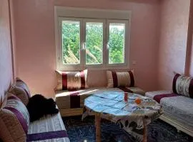 Beach Residence avec WiFi 350m de la Plage