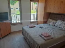 Šapić's Apartment