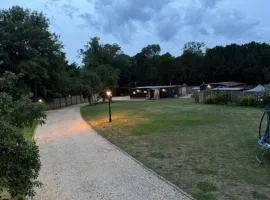 Beautiful Home
