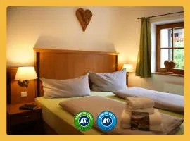 Die Filzmooserin - Apartments in Filzmoos, Filzmoos Card inklusive