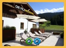 Die Filzmooserin - Apartments in Filzmoos, Filzmoos Card inklusive