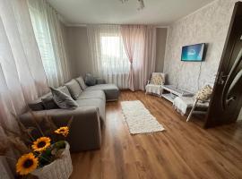 Casa Stefi, caba&ntilde;a o casa de campo en Copăceni