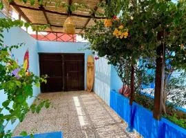 The blue house