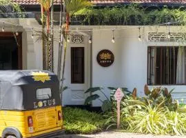 Lotus Surf And Wellness