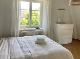 Fantastically beautiful old building apartment with lake view