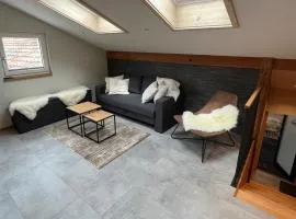 Mountain Homes - Summit Studio