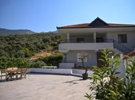Olive Tree
