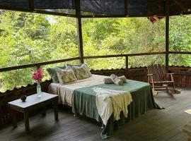 Beautiful open house in the forest