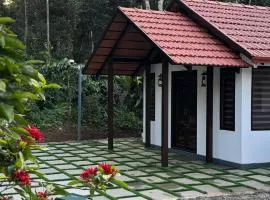 Coorg Robusta Retreat