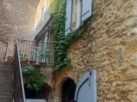 Grande maison en pierre au coeur du village provençal du XIe siecle 10 personnes