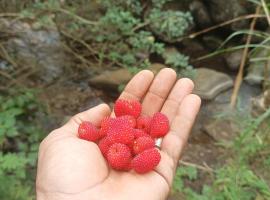 The Mountain Goat, hotel in Morogoro