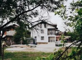Casa Timiș