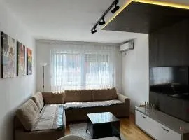 X apartment - Charming 1BR Retreat apartment
