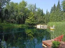 Private Hummingbird Room - Modern & Cozy