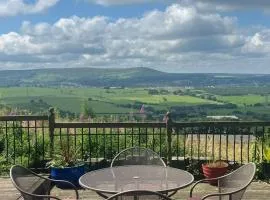 The View