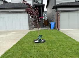 Super house, vila v destinaci Calgary